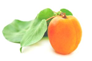 Apri-Cleanse Light Apricot Cleanser